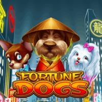 Bigwin919 rtp HABANERO Fortune Dogs