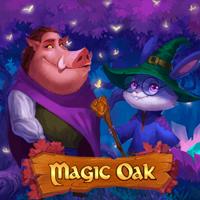 Magic Oak Bigwin919 rtp HABANERO