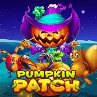 Pumpkin Patch Link Rtp Slot Bigwin919 HABANERO