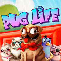 Pug Life rtp slot Bigwin919 hari ini HACKSAW