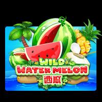Rtp Slot Gacor Hari Ini Bigwin919 JOKER Wild Watermelon