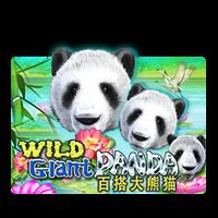 Wild Giant Panda Bigwin919 RTP JOKER