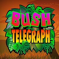 Bigwin919 rtp MICROGAMING Bush Telegraph