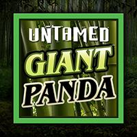 Bigwin919 rtp MICROGAMING Untamed - Giant Panda