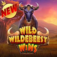 Wild Wildebeest Wins Situs Gacor Bigwin919 Rtp